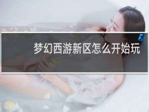 梦幻西游新区怎么开始玩
