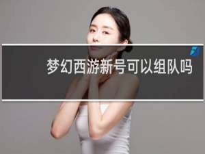 梦幻西游新号可以组队吗