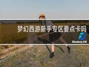 梦幻西游新手专区要点卡吗