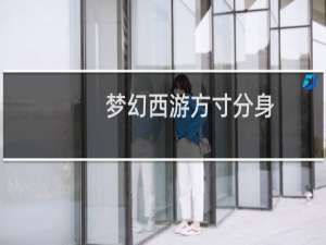 梦幻西游方寸分身