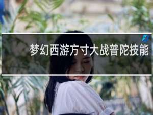 梦幻西游方寸大战普陀技能