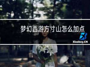 梦幻西游方寸山怎么加点