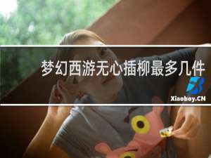梦幻西游无心插柳最多几件