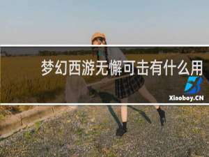 梦幻西游无懈可击有什么用