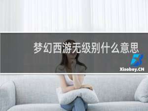 梦幻西游无级别什么意思