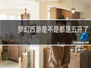 梦幻西游是不是都是五开了