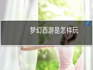 梦幻西游是怎样玩