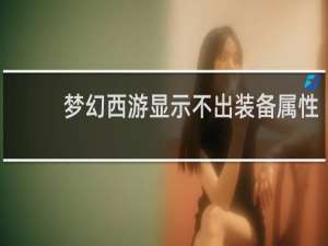 梦幻西游显示不出装备属性
