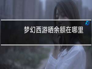 梦幻西游晒余额在哪里
