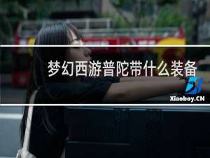 梦幻西游普陀带什么装备