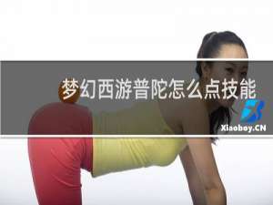 梦幻西游普陀怎么点技能