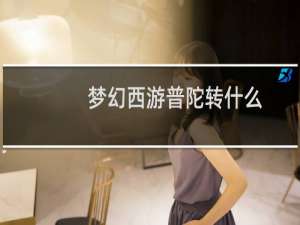 梦幻西游普陀转什么