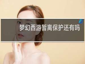 梦幻西游暂离保护还有吗