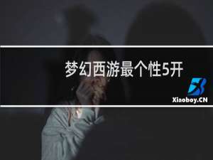 梦幻西游最个性5开