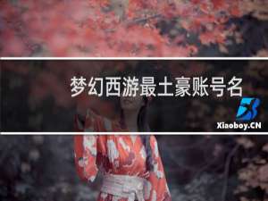 梦幻西游最土豪账号名