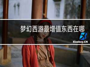 梦幻西游最增值东西在哪