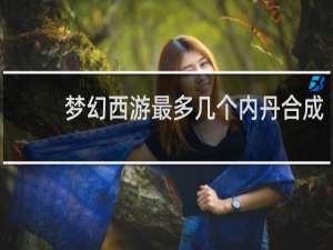 梦幻西游最多几个内丹合成