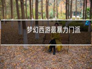 梦幻西游最暴力门派