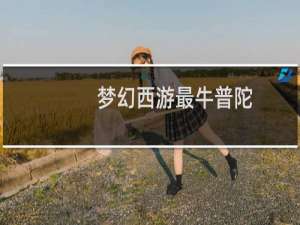梦幻西游最牛普陀