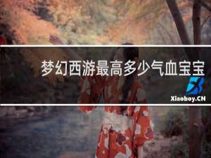 梦幻西游最高多少气血宝宝