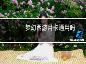梦幻西游月卡通用吗