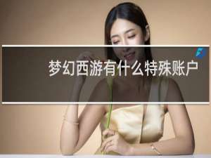 梦幻西游有什么特殊账户