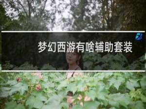 梦幻西游有啥辅助套装