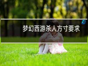 梦幻西游杀人方寸要求