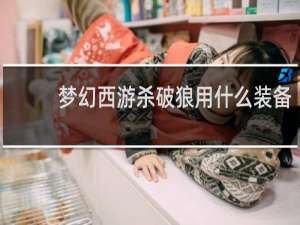 梦幻西游杀破狼用什么装备