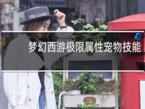 梦幻西游极限属性宠物技能