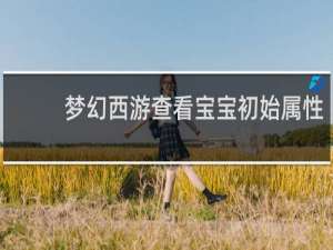 梦幻西游查看宝宝初始属性