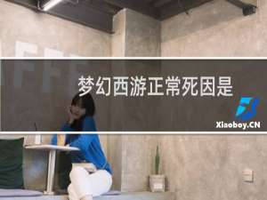 梦幻西游正常死因是