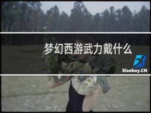梦幻西游武力戴什么