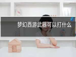 梦幻西游武器可以打什么