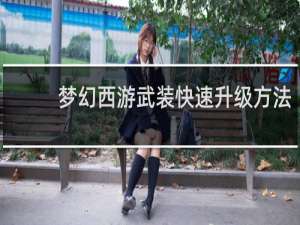 梦幻西游武装快速升级方法