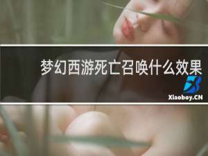 梦幻西游死亡召唤什么效果