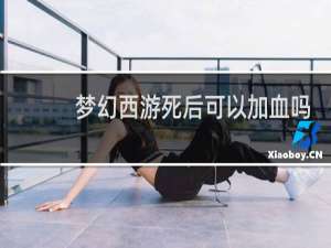 梦幻西游死后可以加血吗
