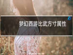 梦幻西游比武方寸属性
