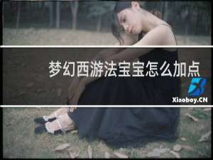 梦幻西游法宝宝怎么加点