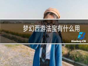 梦幻西游法宝有什么用