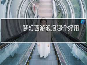 梦幻西游泡泡哪个好用