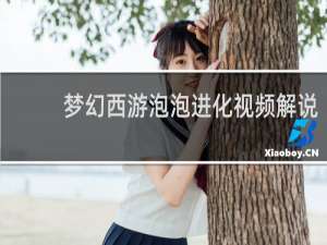 梦幻西游泡泡进化视频解说