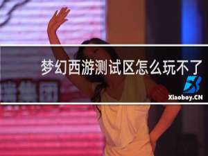 梦幻西游测试区怎么玩不了