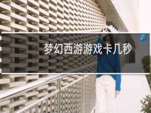 梦幻西游游戏卡几秒