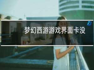 梦幻西游游戏界面卡没