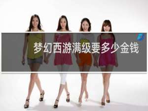 梦幻西游满级要多少金钱