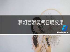 梦幻西游灵气召唤效果