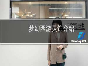 梦幻西游灵饰介绍