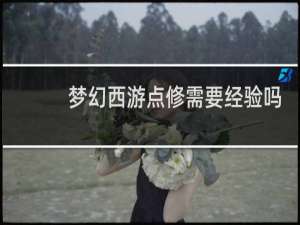 梦幻西游点修需要经验吗
