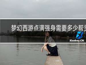 梦幻西游点满强身需要多少帮贡